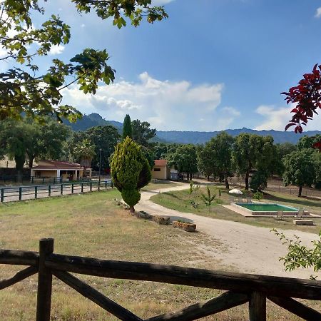 Casa Da Vinha Villa Castelo Novo Eksteriør bilde