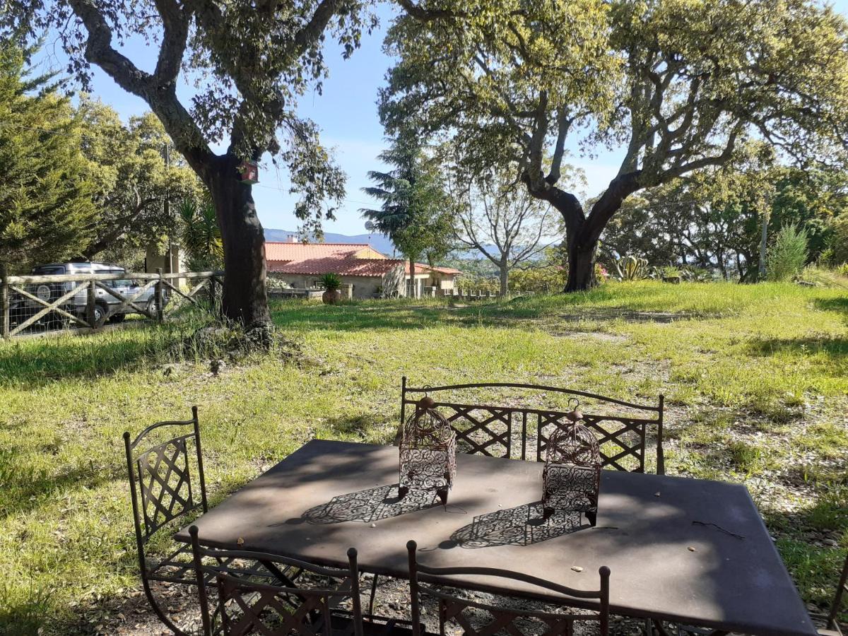 Casa Da Vinha Villa Castelo Novo Eksteriør bilde