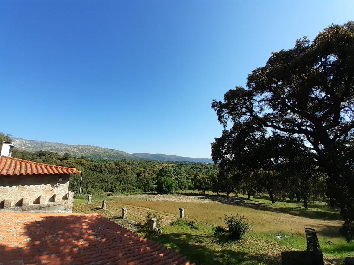 Casa Da Vinha Villa Castelo Novo Eksteriør bilde