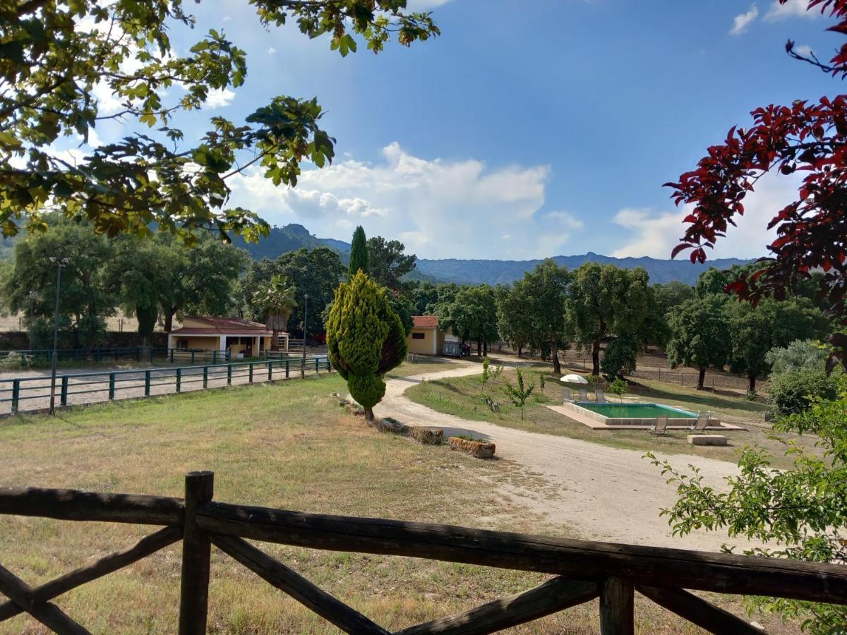 Casa Da Vinha Villa Castelo Novo Eksteriør bilde