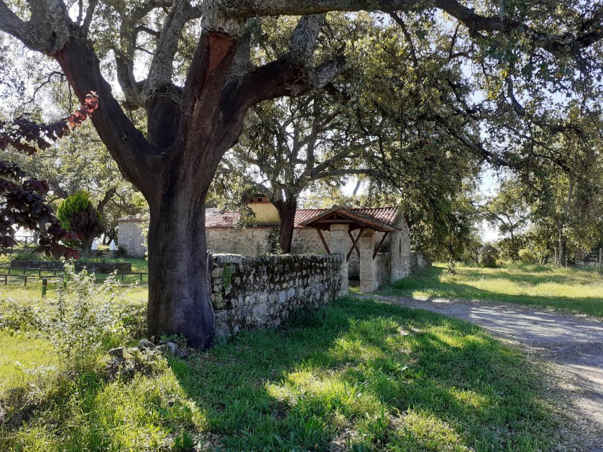 Casa Da Vinha Villa Castelo Novo Eksteriør bilde