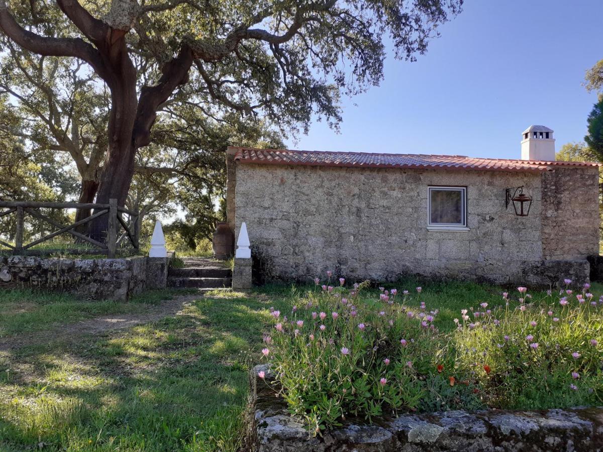 Casa Da Vinha Villa Castelo Novo Eksteriør bilde
