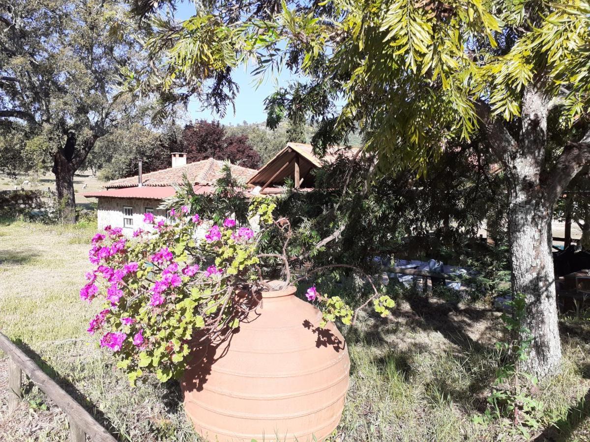Casa Da Vinha Villa Castelo Novo Eksteriør bilde