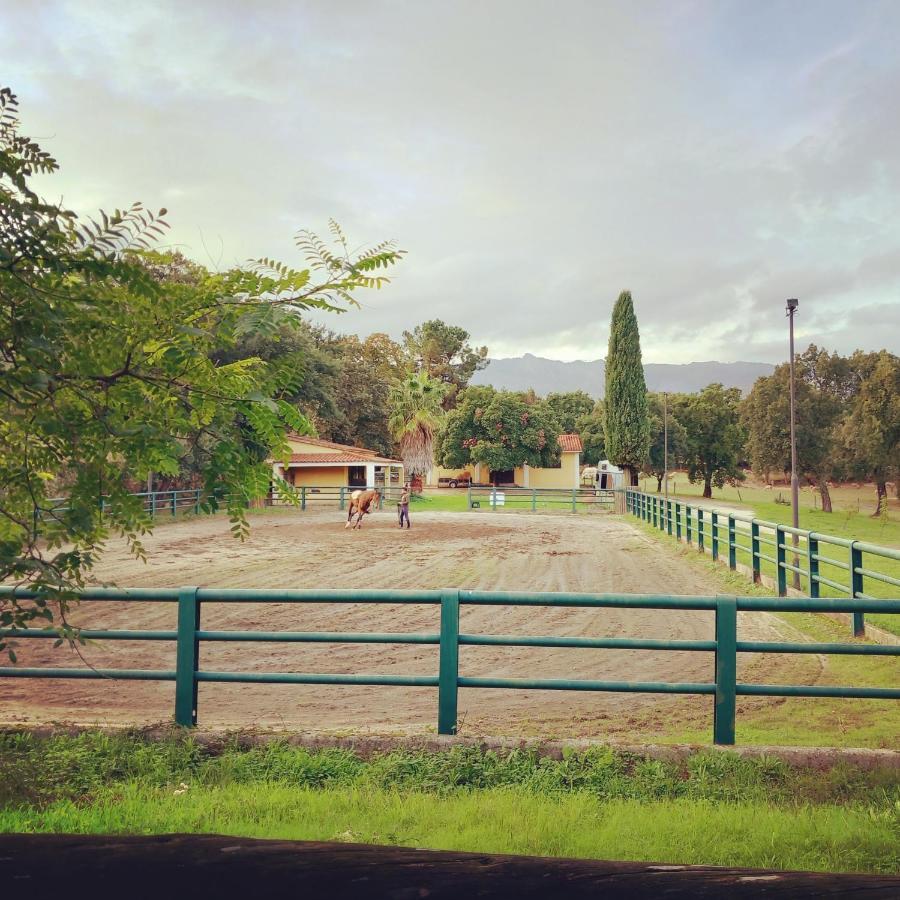 Casa Da Vinha Villa Castelo Novo Eksteriør bilde