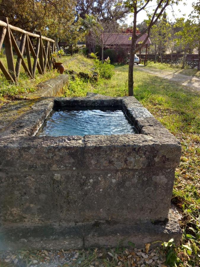 Casa Da Vinha Villa Castelo Novo Eksteriør bilde